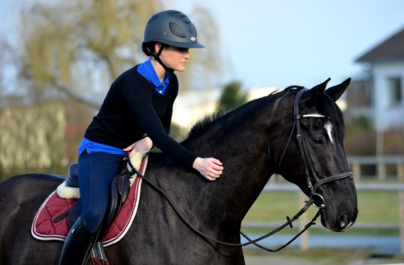 EQUITIME LOUKSOR DES BORDES ALBERT VOORN