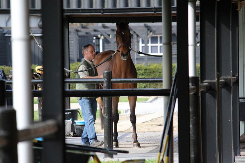 EQUITIME chez Mr Albert Voorn