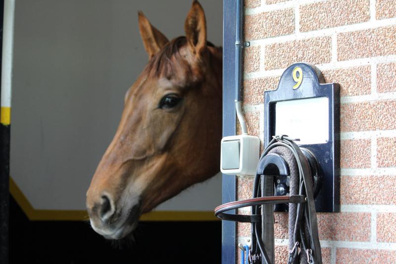 EQUITIME chez Mr Albert Voorn